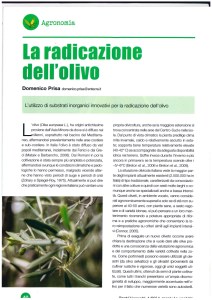 articolo domenico completo