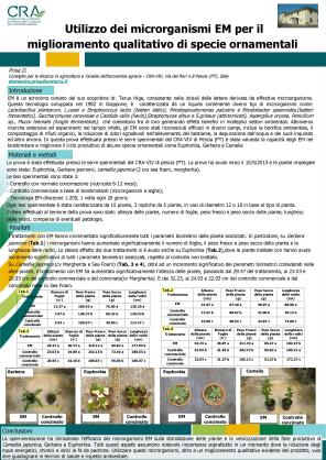 EM su piante ornamentali