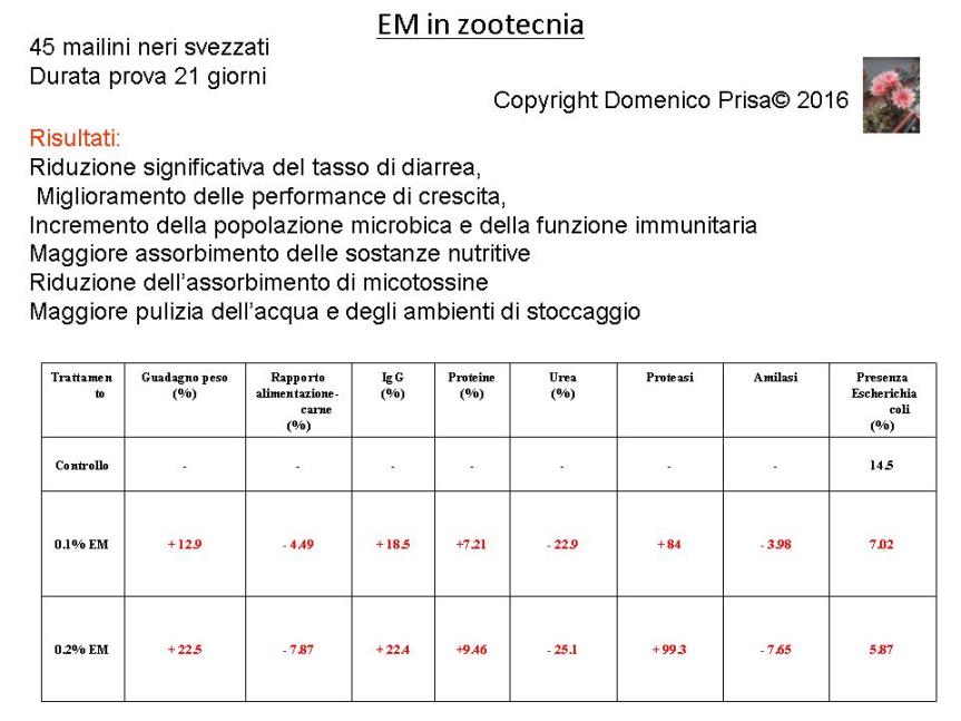 Vittorio Veneto presentazione 27 Agosto dr. Prisa3