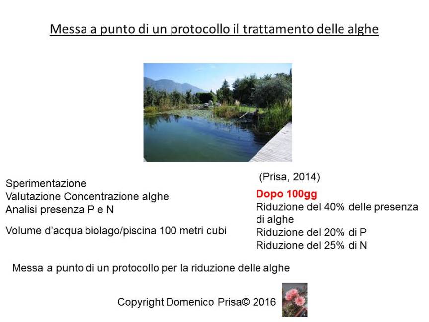 vedelago-presentazione-30-settembre-dr-prisa