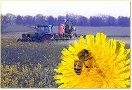 Utilizzo dei pesticidi e rischi per la salute&nbsp;umana