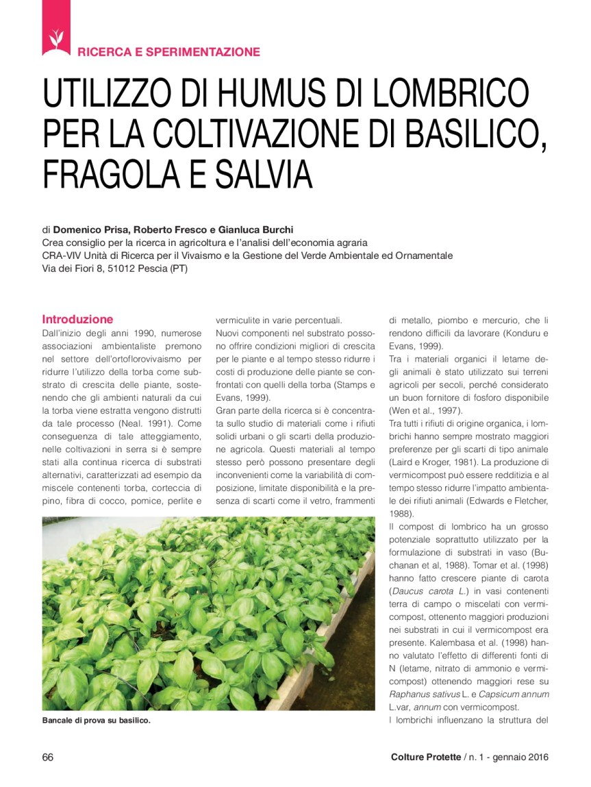 37)06_Ricerca_Prisa-humus-BB2-001