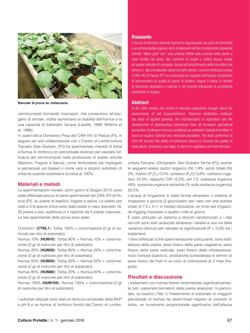 37)06_Ricerca_Prisa-humus-BB2-002