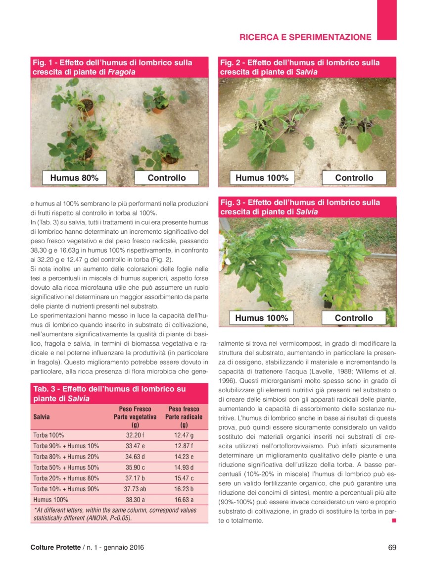 37)06_Ricerca_Prisa-humus-BB2-004
