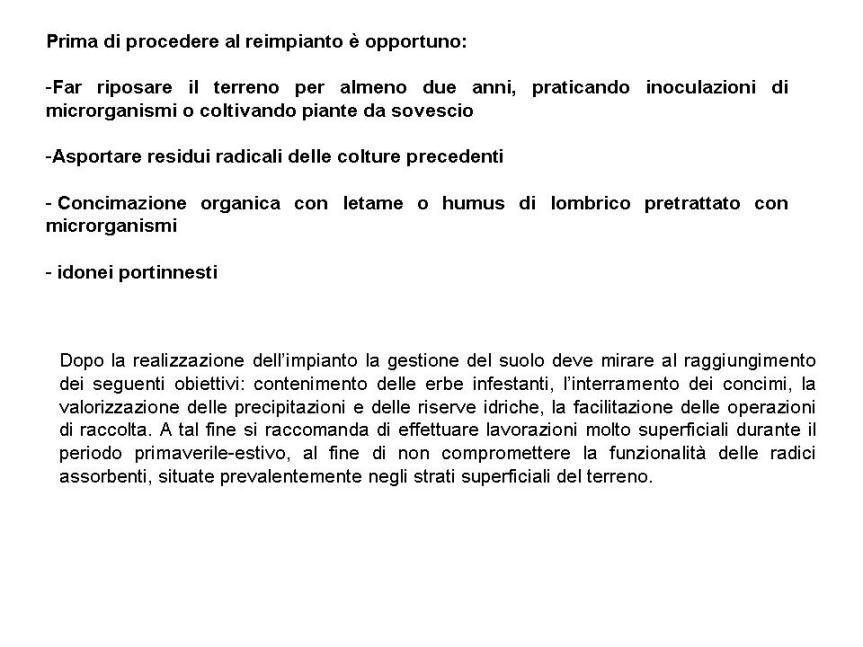 Diapositiva3