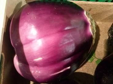 Agricoltura micronaturale. Come utilizzare la chabasite micronizzata per la germinazione di ortive e tappeti&nbsp;erbosi