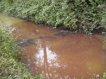 Cosa provoca l’accumulo di rame nel suolo? Attenzione al suo utilizzo perchè ha poco di&nbsp;biologico.