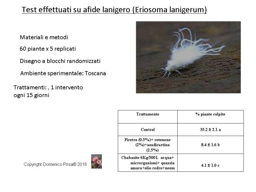 AGRICOLTURA MICRONATURALE®. LA COLTIVAZIONE E DIFESA DEL MELO IN MANIERA&nbsp;ALTERNATIVA.