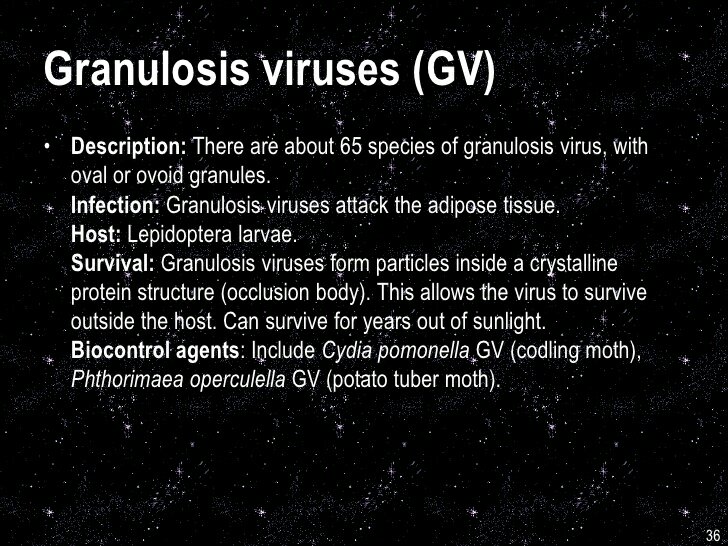 ​I GRANULOSIS VIRUS: COSA SONO E A COSA&nbsp;SERVONO?