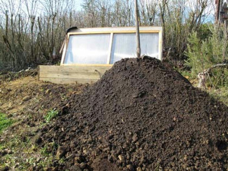 ​IL COMPOSTAGGIO PER LA PRODUZIONE DI LETTIERE PER L’ALLEVAMENTO DI FUNGHI&nbsp;EDULI