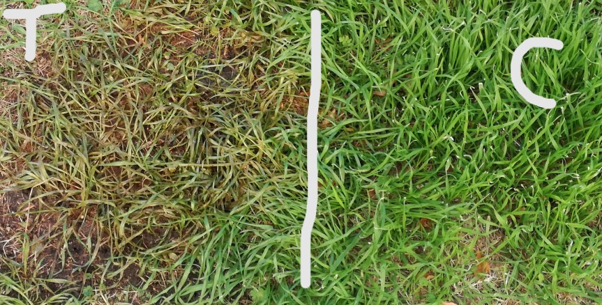 Ecoerba il diserbante naturale (Dr. Domenico&nbsp;Prisa)