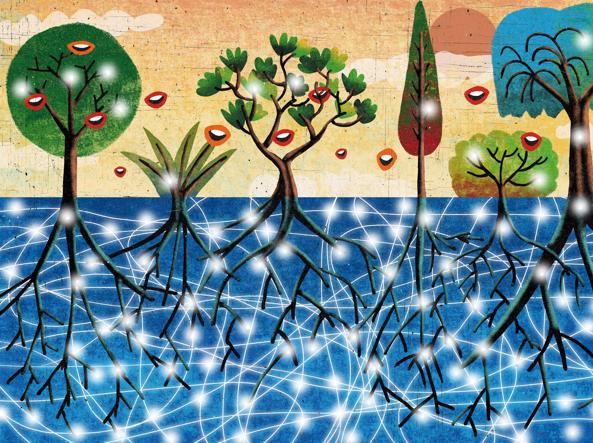 MICRONATURALE: IL SUOLO COME ORGANISMO&nbsp;VIVENTE