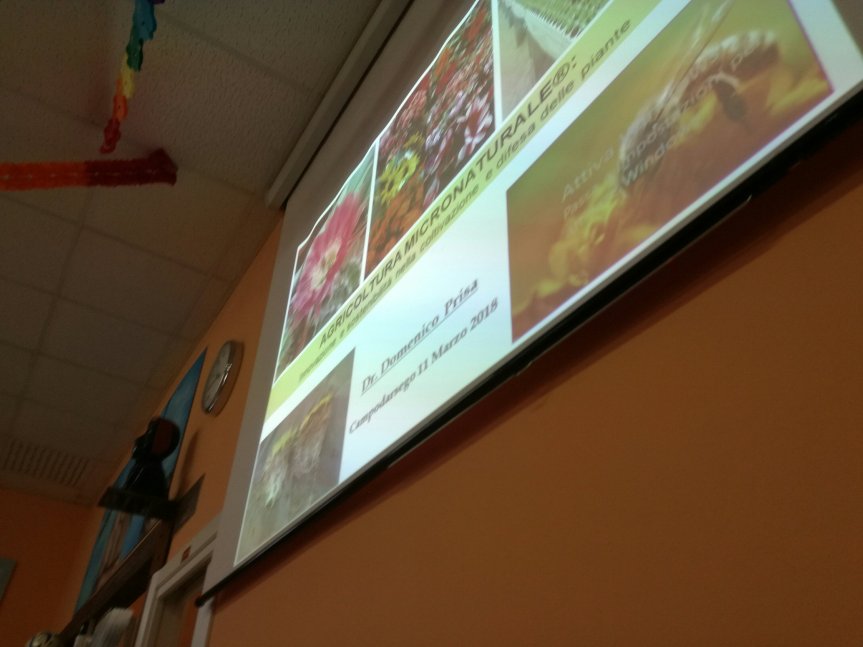 Micronaturale: Agricoltura sostenibile e per socializzare alla portata di&nbsp;tutti