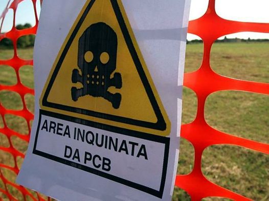 Micronaturale: la degradazione dei PCB coi&nbsp;Microrganismi