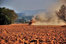 Micronaturale: la degradazione dei&nbsp;suoli