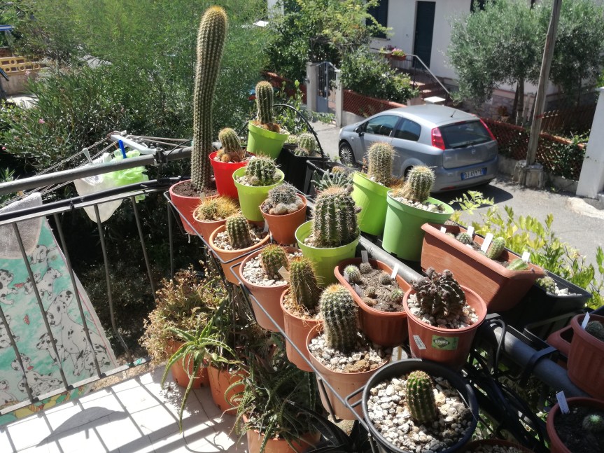 Micronaturale: greenlablandscape