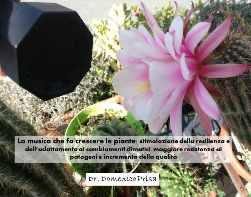 La musica che fa crescere le piante: stimolazione della resilienza e dell’adattamento ai cambiamenti climatici, maggiore resistenza ai patogeni e incremento della qualità&nbsp;(Ebook)