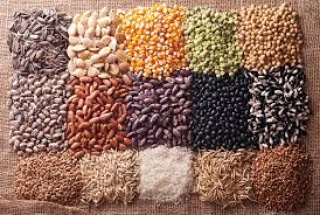 Micronaturale: La legge dei&nbsp;semi