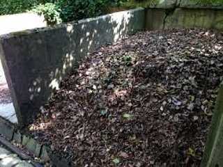 Micronaturale: il compost e le sue&nbsp;caratteristiche