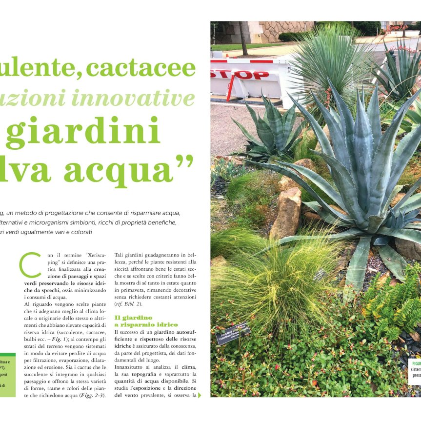 Micronaturale: Soluzioni innovative per giardini salva&nbsp;acqua