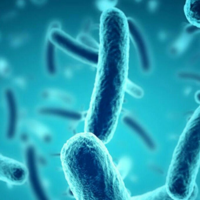 Micronaturale: i cambiamenti del microbioma umano e le&nbsp;malattie