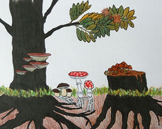 Micronaturale: la simbiosi e la patogenesi tra piante e&nbsp;funghi