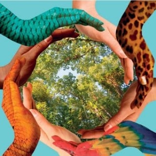 Micronaturale: Presupposti e obiettivi per passare da un’agricoltura Convenzionale ad un’agricoltura Micronaturale