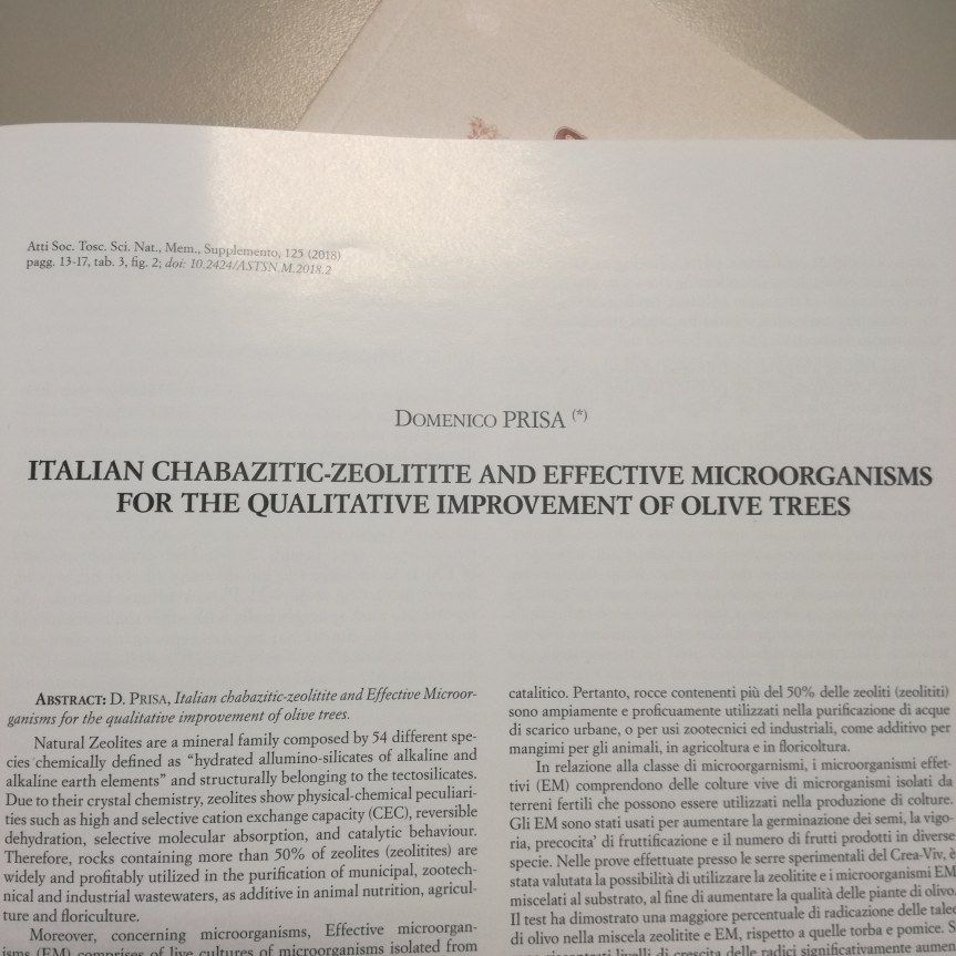 Italian chabazitic-zeolitite and effective microorganisms for the qualitative improvement of olive trees- Dr. Domenico&nbsp;Prisa