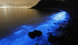 La bioluminescenza dei&nbsp;batteri