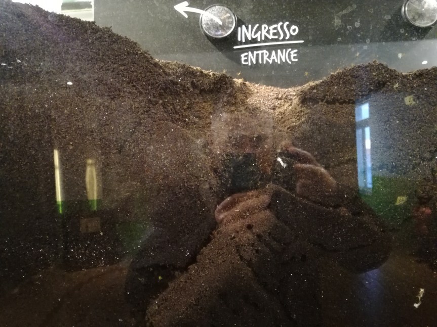 Le formiche e i&nbsp;formicai