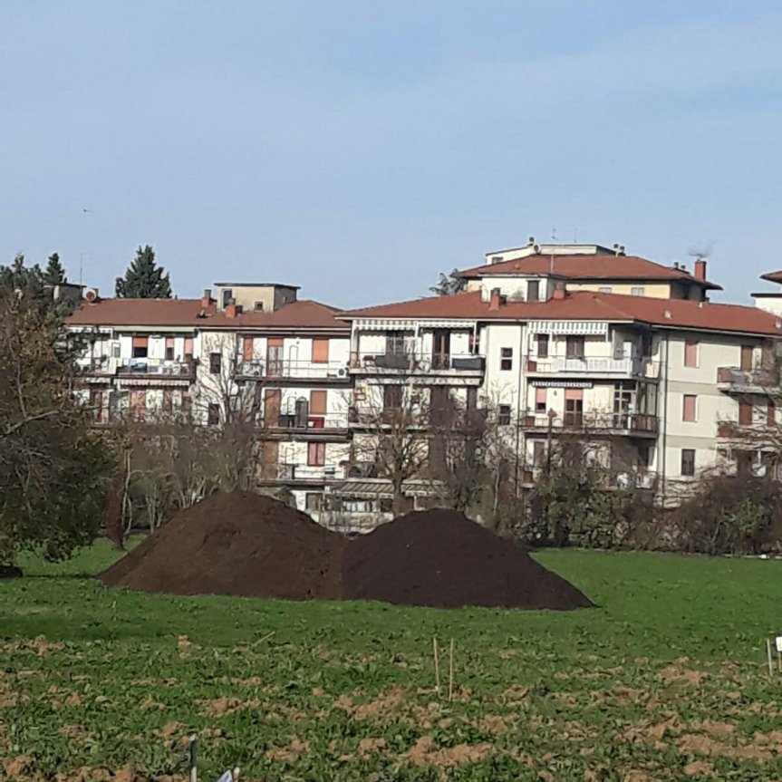 Micronaturale: PERCHÉ È SEMPRE NECESSARIO COMPOSTARE LA SOSTANZA ORGANICA PRIMA DI SOMMINISTRARLA AL&nbsp;TERRENO?