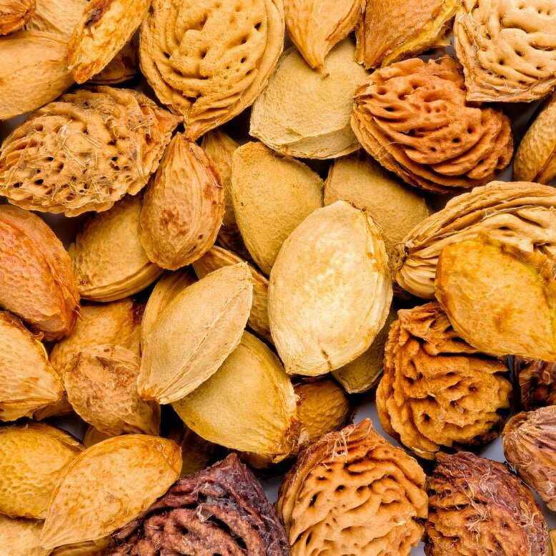 Cosa è l’amigdalina?