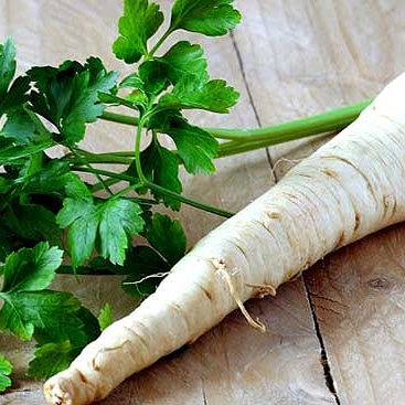 Piante ortive ad elevato valore&nbsp;nutritivo