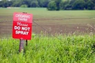 I PGPR e gli stress delle&nbsp;piante