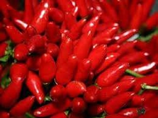 Article:Improvement Quality and Content of Pepper and Chilli Nitrates Influenced by the Effective&nbsp;Microorganisms.