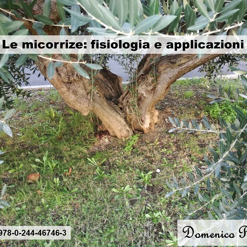 Le micorrize: fisiologia e&nbsp;applicazioni
