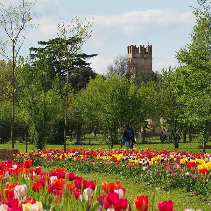 Wander&Pick: il giardino dei&nbsp;tulipani