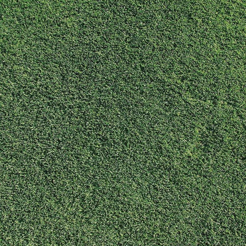 Le cose da non fare al&nbsp;prato