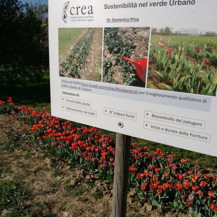 In mezzo a&nbsp;Wander&Pick