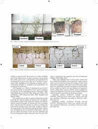 ITALIAN CHABAZITIC-ZEOLITITE AND EFFECTIVE MICROORGANISM SFOR THE QUALITATIVE IMPROVEMENT OF OLIVE&nbsp;TREES