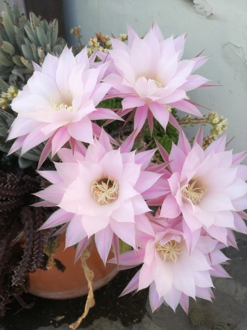 Un giorno a&nbsp;colori