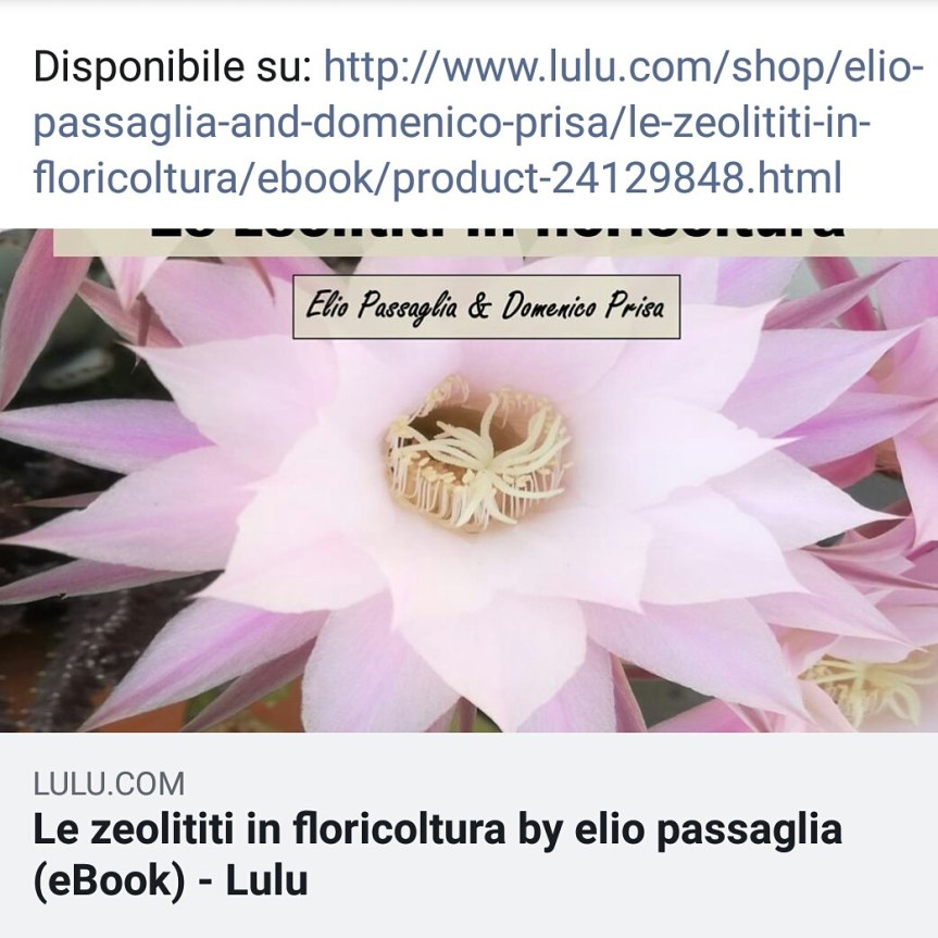 Libro: Le zeolititi in&nbsp;floricoltura