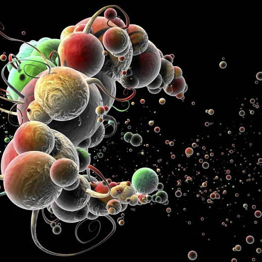 Metodi per valutare l’attività microbica nei campioni&nbsp;ambientali
