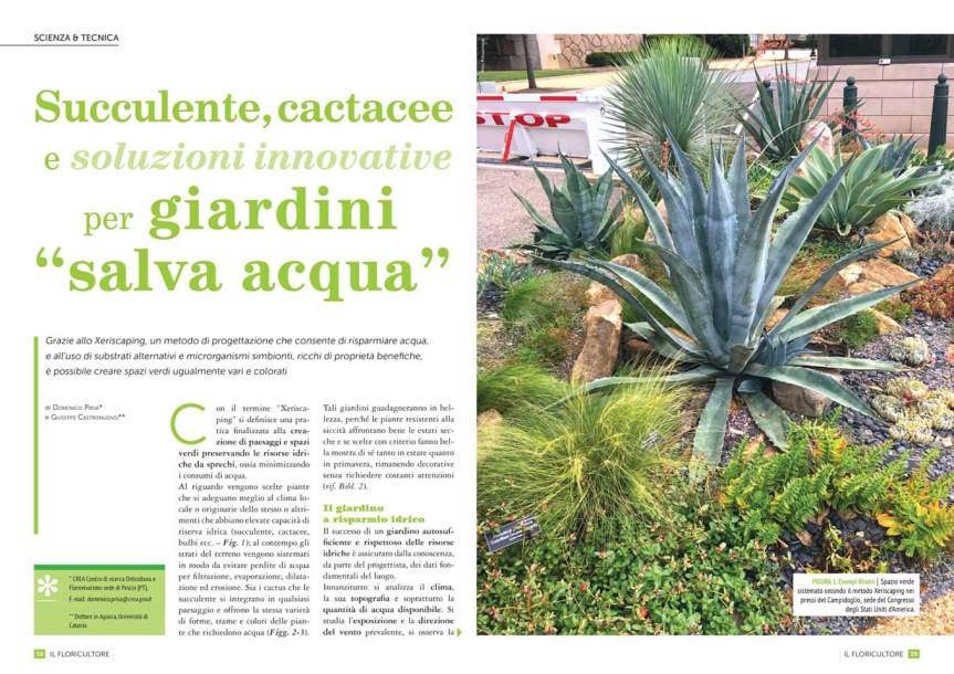 I giardini “Salva&nbsp;acqua”