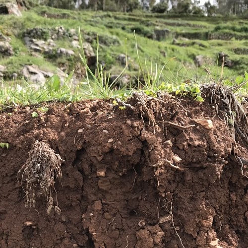 Le caratteristiche chimiche del&nbsp;suolo