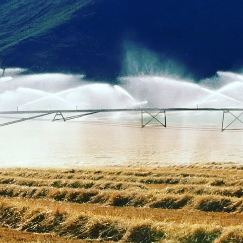 Metodologie per migliorare l’efficienza d’uso dell’acqua in&nbsp;agricoltura