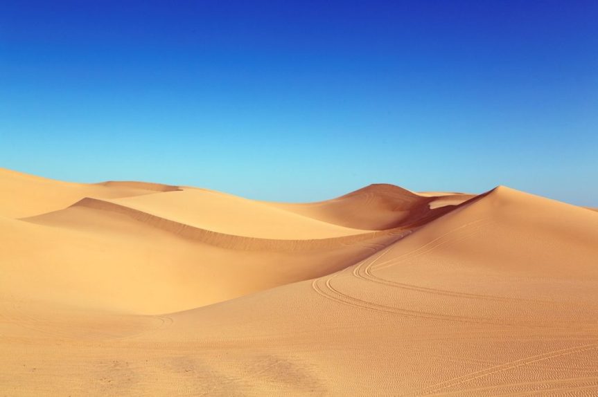 I microrganismi e i suoli del&nbsp;deserto