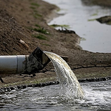 I microrganismi indicatori di&nbsp;contaminazione