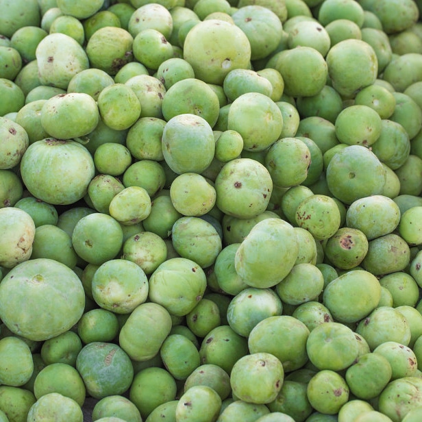 Piante alimentari insolite: Praecitrullus fistulosus&nbsp;(Tinda)