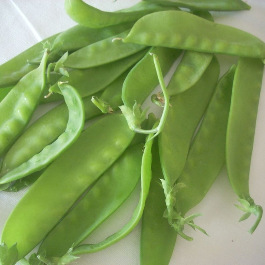 Uso alimentare della Taccola (pisum sativum&nbsp;medullare)